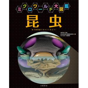 昆虫 電子顕微鏡でのぞいてみよう! 佐々木正己の高価買取価格