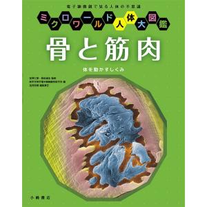 骨と筋肉 人体の不思議 宮澤七郎の高価買取価格
