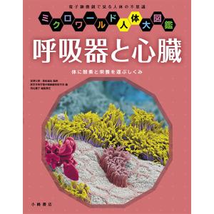 呼吸器と心臓のしくみの高価買取価格