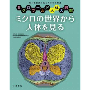 電子顕微鏡で見る人体の不思議の高価買取価格