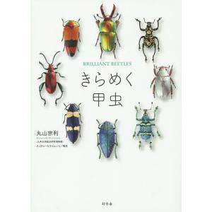 きらめく甲虫 / 丸山宗利
