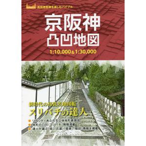 京阪神凸凹地図 スリバチの達人の商品画像