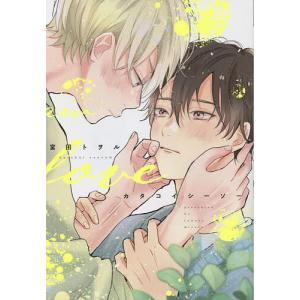 カタコイシーソー/宮田トヲル