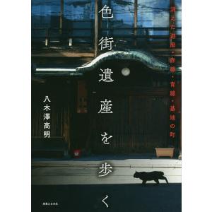 色街遺産を歩く 消えた遊廓・赤線・青線・基地の町/八木澤高明