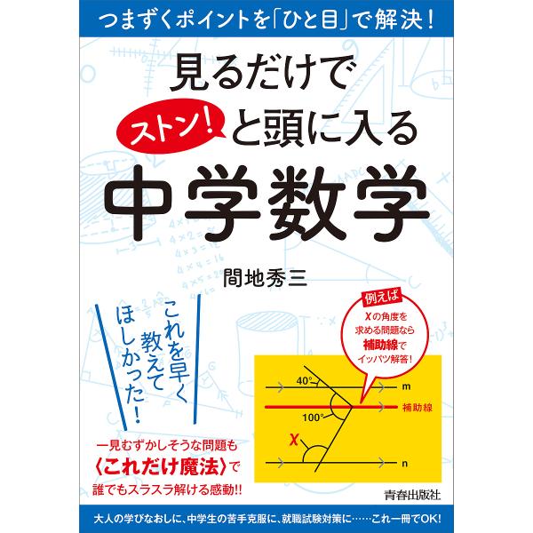 見るだけでストン!と頭に入る中学数学 つまずくポイントを「ひと目」で解決!/間地秀三