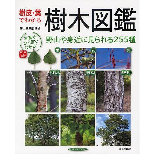 樹皮・葉でわかる樹木図鑑 野山や身近に見られる255種/菱山忠三郎