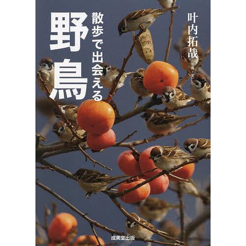 散歩で出会える野鳥/叶内拓哉