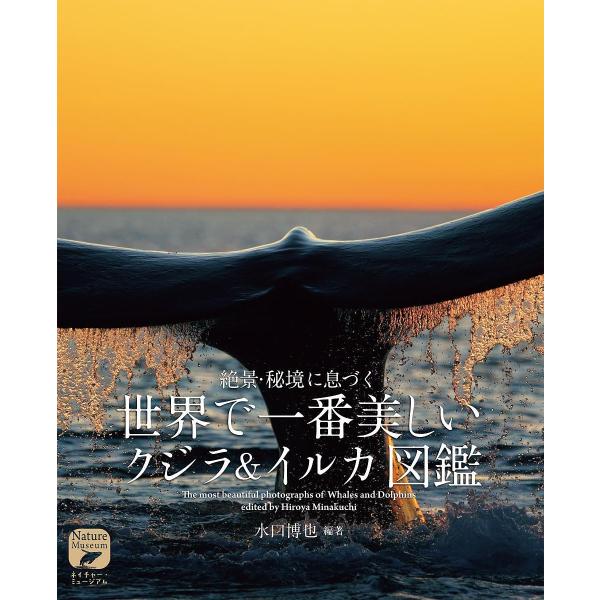 絶景・秘境に息づく世界で一番美しいクジラ&amp;イルカ図鑑/水口博也
