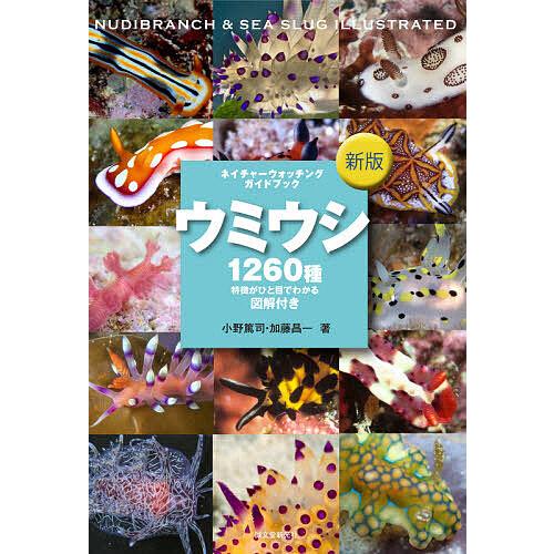 ウミウシ 特徴がひと目でわかる図解付き 1260種/小野篤司/加藤昌一