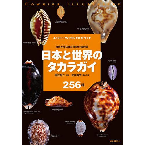 日本と世界のタカラガイ 自然が生み出す驚きの造形美 256種/黒住耐二