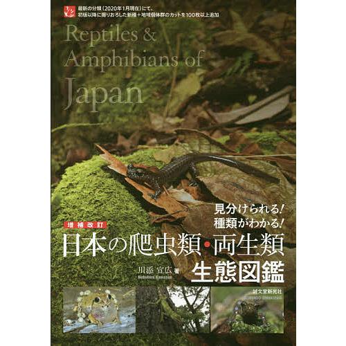 日本の爬虫類・両生類生態図鑑 見分けられる!種類がわかる!/川添宣広