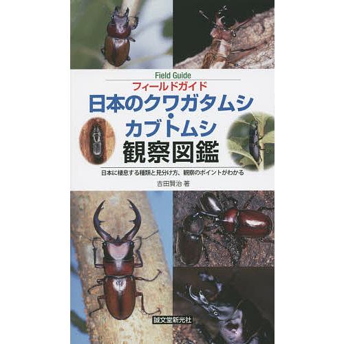 フィールドガイド日本のクワガタムシ・カブトムシ観察図鑑 日本に棲息する種類と見分け方、観察のポイント...