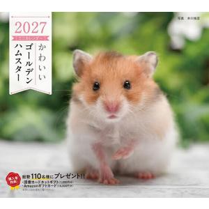 〔予約〕’27 カレンダーかわいいゴールデンハム