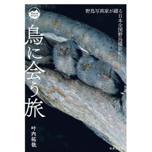 鳥に会う旅 野鳥写真家が綴る日本全国野鳥撮影紀行/叶内拓哉