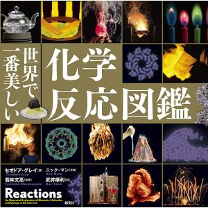 世界で一番美しい化学反応図鑑/セオドア・グレイ/ニック・マン/若林文高