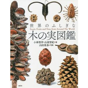 世界のふしぎな木の実図鑑 / 小林智洋 / 山東智紀 / 山田英春