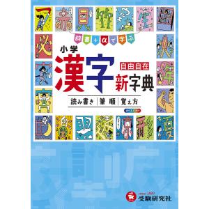 小学漢字新字典 自由自在/小学教育研究会