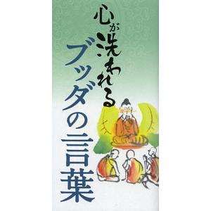 2026年版 司法試験&予備試験 完全整理択一六法 7冊 全巻セット 東京