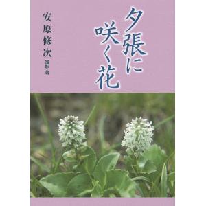 夕張に咲く花 安原修次 最安値 価格比較 Yahoo ショッピング 口コミ 評判からも探せる