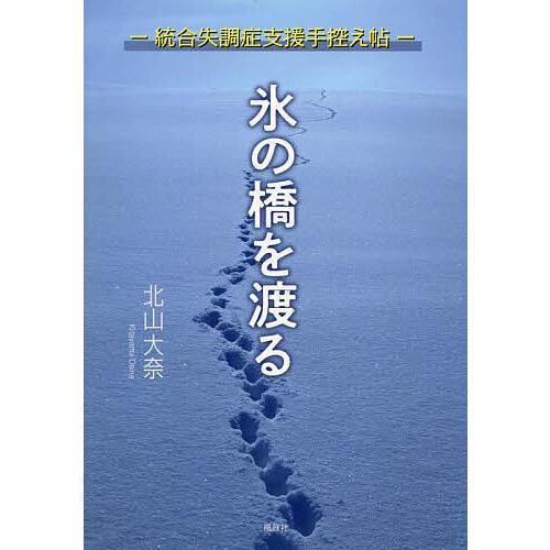 氷の橋を渡る 統合失調症支援手控え帖/北山大奈