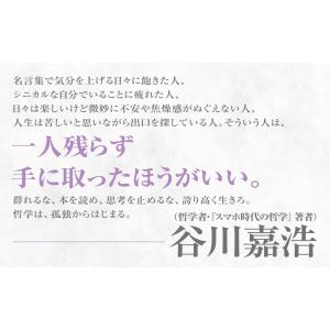 求めない練習 絶望の哲学者ショーペンハウアーの...の詳細画像4