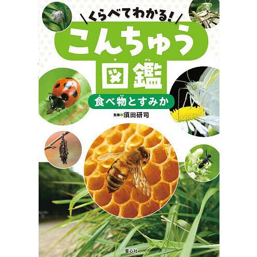 くらべてわかる!こんちゅう図鑑 〔4〕/須田研司/森のくじら