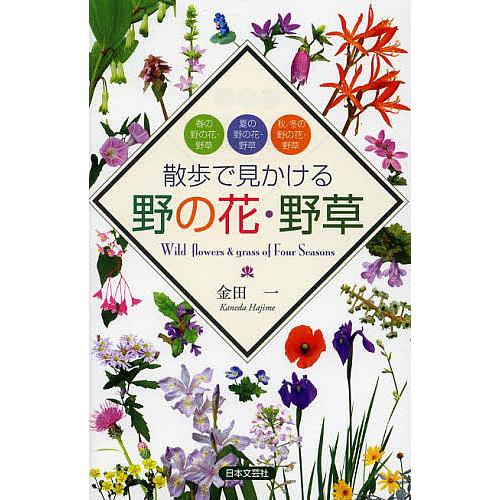 散歩で見かける野の花・野草 春の野の花・野草 夏の野の花・野草 秋/冬の野の花・野草/金田一