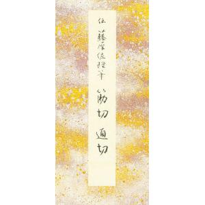 Minimal Tooth Movement 一般臨床医のためのMTM/月星光博/月星千恵/月