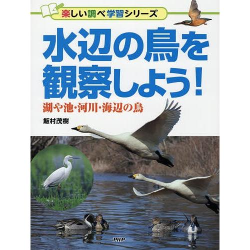 水辺の鳥を観察しよう! 湖や池・河川・海辺の鳥/飯村茂樹