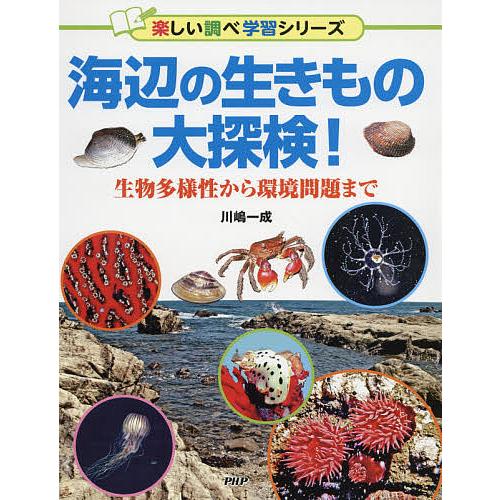 海辺の生きもの大探検! 生物多様性から環境問題まで/川嶋一成