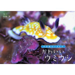 かわいいウミウシ 不思議ないきもの/今本淳