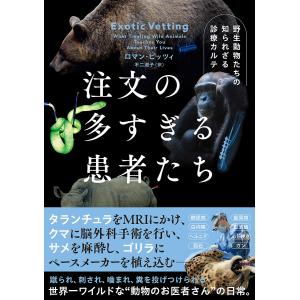 天上の虹 全23巻 里中満智子 全巻 セット 全巻、表紙アルコール除菌済