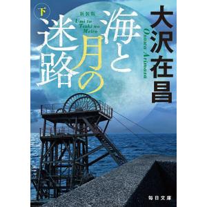 海と月の迷路 下/大沢在昌