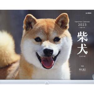 【対象日は条件達成で最大＋4％】カレンダー ’23 柴犬/福田豊文【付与条件詳細はTOPバナー】