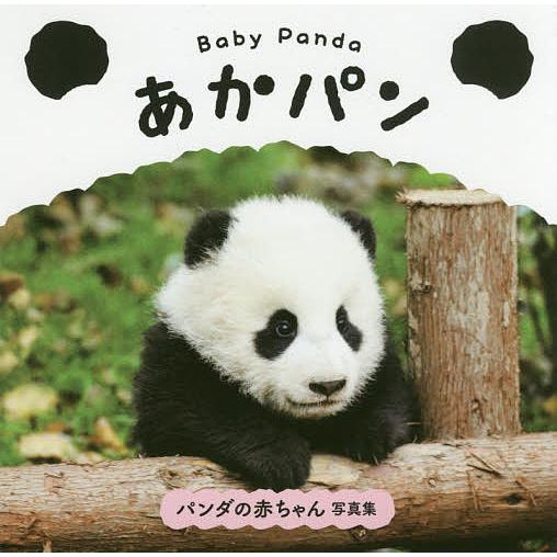 Baby Pandaあかパン/パイインターナショナル/土居利光