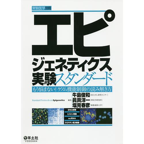 エピジェネティクス実験スタンダード もう悩まない!ゲノム機能制御の読み解き方/牛島俊和/眞貝洋一/塩...