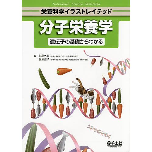 分子栄養学 遺伝子の基礎からわかる/加藤久典/藤原葉子