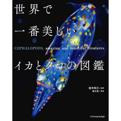 世界で一番美しいイカとタコの図鑑/窪寺恒己