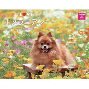 I LOVEポメラニアンカレンダー’26の買取情報