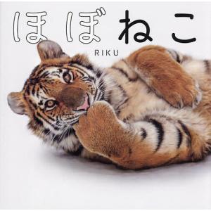 ほぼねこ ネコ科の猛獣たちのネコみたいな写真集/RIKU｜bookfan