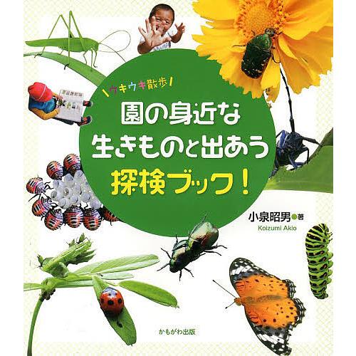 園の身近な生きものと出あう探検ブック! ウキウキ散歩/小泉昭男