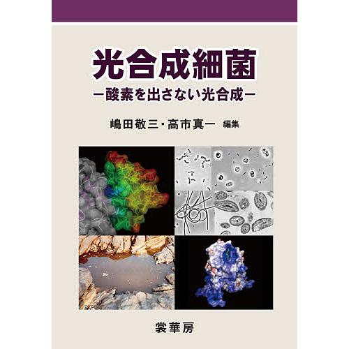 光合成細菌 酸素を出さない光合成/嶋田敬三/高市真一