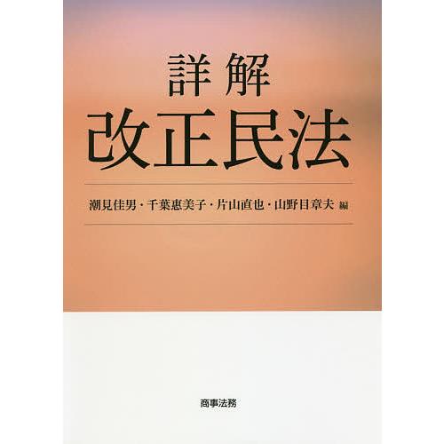 詳解改正民法/潮見佳男/千葉惠美子/片山直也