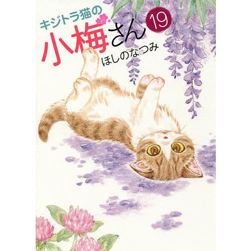 キジトラ猫の小梅さん 19/ほしのなつみ