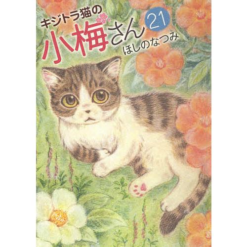 キジトラ猫の小梅さん 21/ほしのなつみ