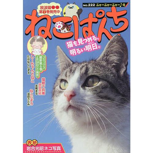 ねこぱんち ニャーニャーニャー♪号