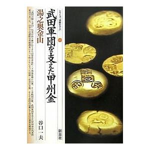 武田軍団を支えた甲州金・湯之奥金山/谷口一夫