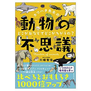 カワハタ先生の動物の不思議 どこがおなじでどこがちがうの?/川幡智佳