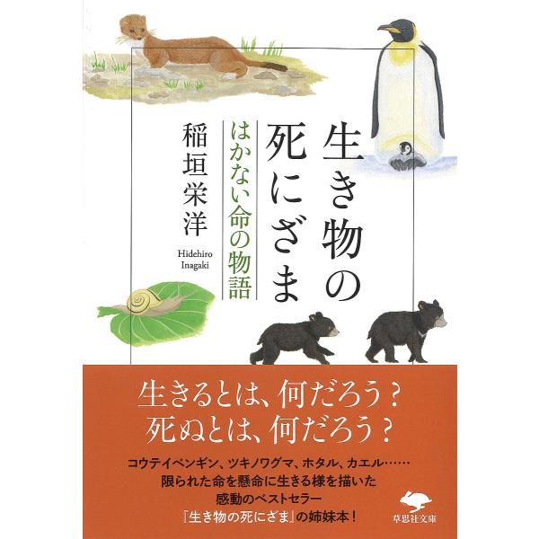 生き物の死にざま はかない命の物語/稲垣栄洋