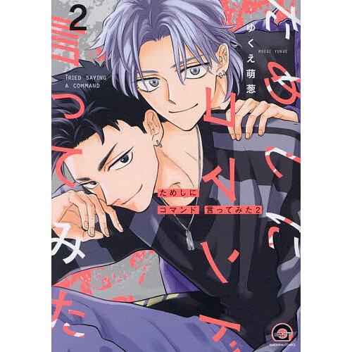 ためしにコマンド言ってみた 2